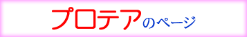 プロテアのページ